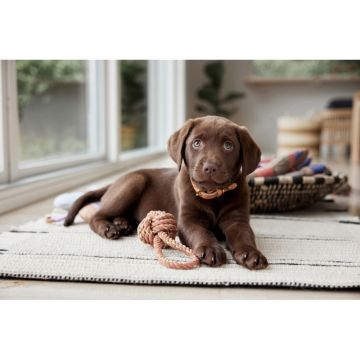 OYOY Otto Seil Hundespielzeug Karamell