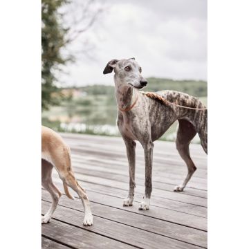 OYOY Robin Hundeleine Natural M/L