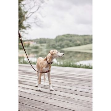 OYOY Robin Hundeleine Choco M/L