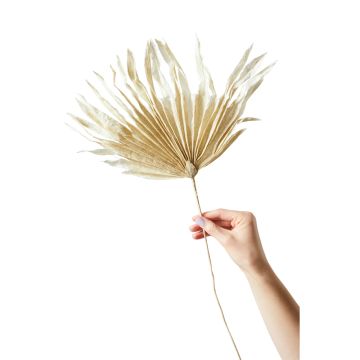 Studio About Papierblume Palm Sand