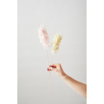 Studio About Papierblume Pampas Rose