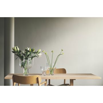 Gejst Nebl Vase Klar Groß