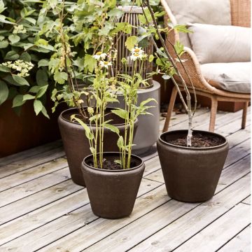 House Doctor Blumentopf Funnel Antik Braun Set von 3