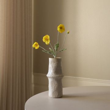 Botané Mohnblume Gelb