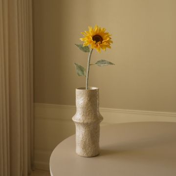 Botané Gelb Pacino Sonnenblume