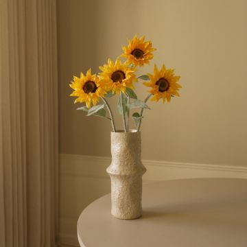 Botané Gelb Pacino Sonnenblume